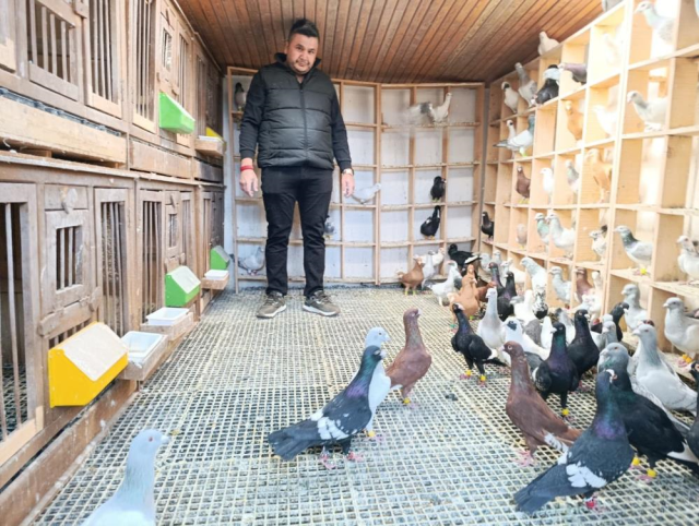 Memurluktan istifa edip bu işe başladı! Bir tanesini araba fiyatına satıyor