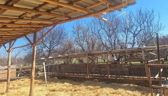 Konya’daki Hayvan İşletmesinde Hijyen Sorunu