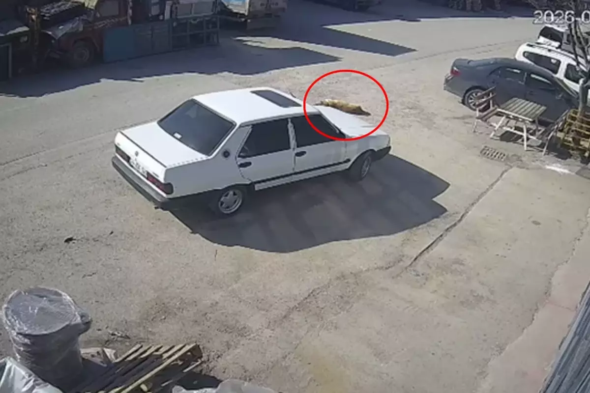 Allah ıslah etsin! Mübarek Ramazan günü kaydedilen görüntüye bakın