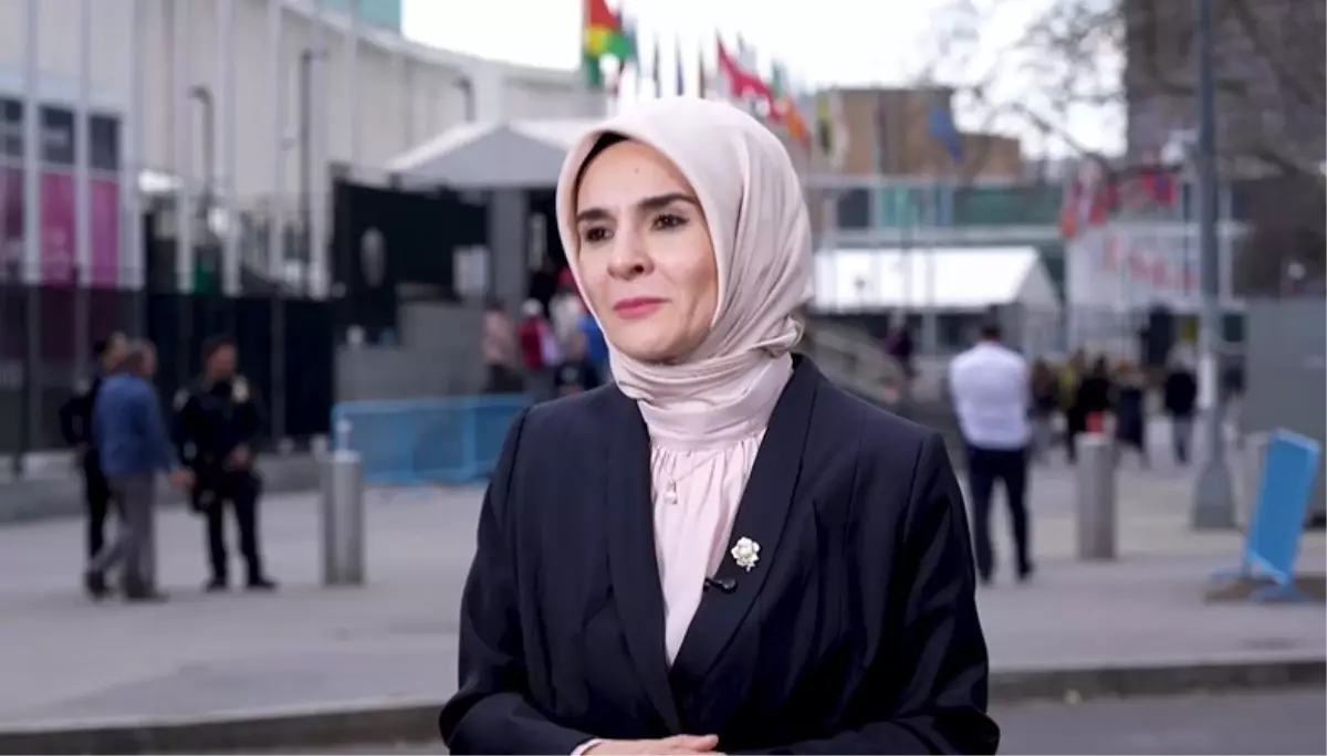 BM\'de Türk Devletleriyle Ortak Beyan