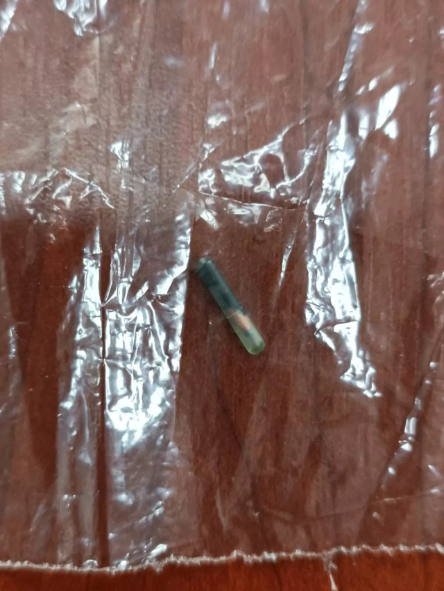 Kavurma yapılan yarış atının görüntüleri ortaya çıktı