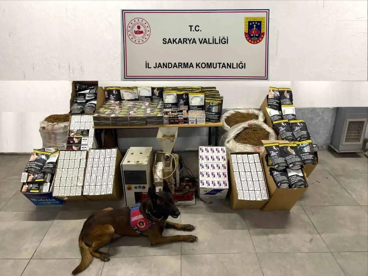 Sakarya\'da Kaçak Tütün Operasyonu