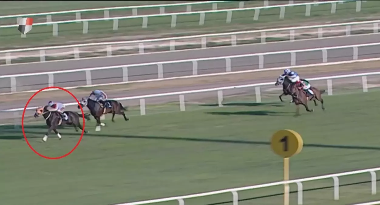 Kavurma yapılan atın sahibine de ceza! Sorumsuzluğu affedilmedi