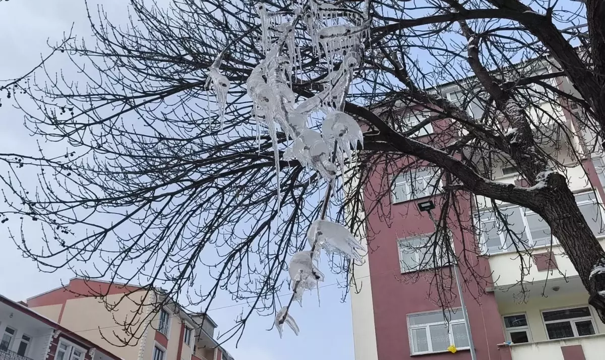 Kars\'ta Buzlanma ve Don Uyarısı