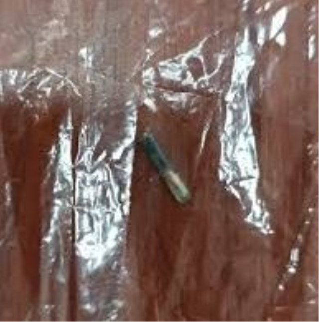 Kavurma yapılan at hipodromdan tabağa nasıl geldi? Bakın ne kadara satmışlar