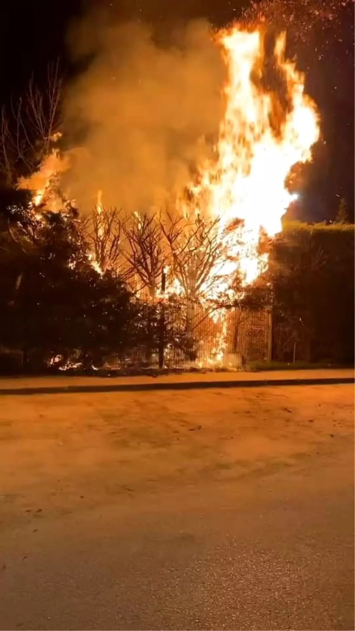 İnegöl\'de Botanik Park\'ta Yangın