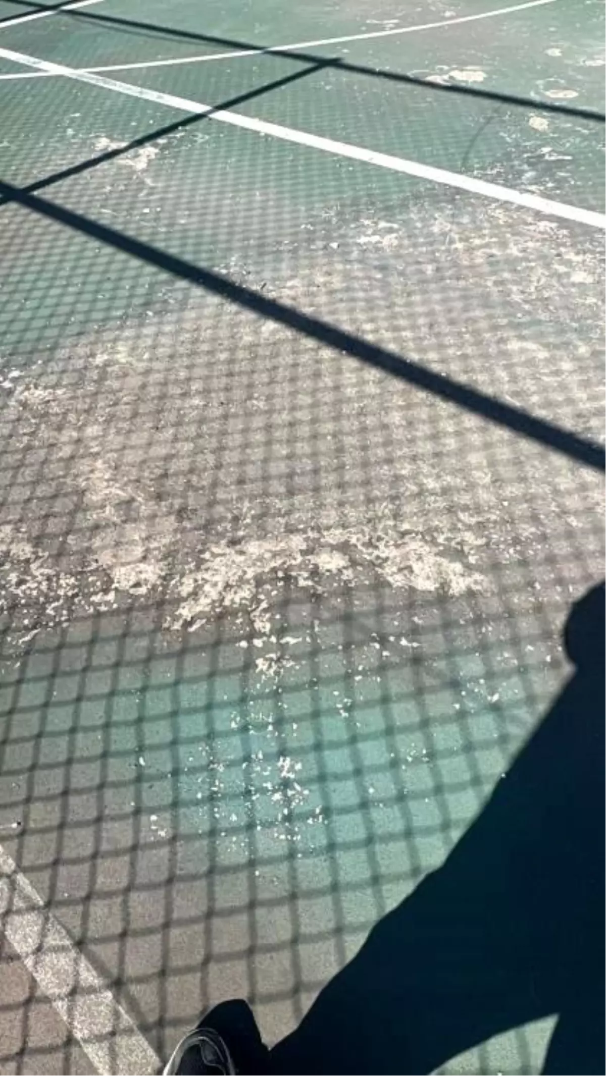 Bilecik\'te spor kompleksinin hali işler acısı