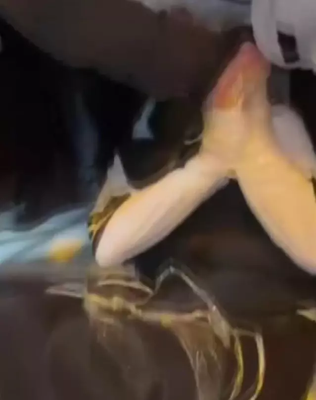 Fatih’te Darp Olayı: 3 Çocuk Gözaltında