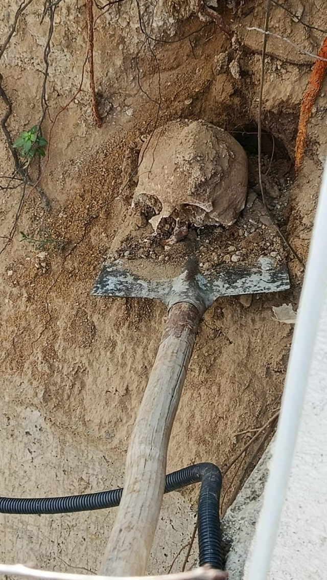 Fidan dikimi sırasında insan kafatası ve kemik parçaları bulundu Fidan dikimi sırasında insan kafatası ve kemik parçaları bulundu