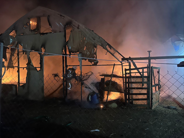 Kanatlı ve küçükbaş hayvan çiftliğinde yangın: 580 hayvan öldü