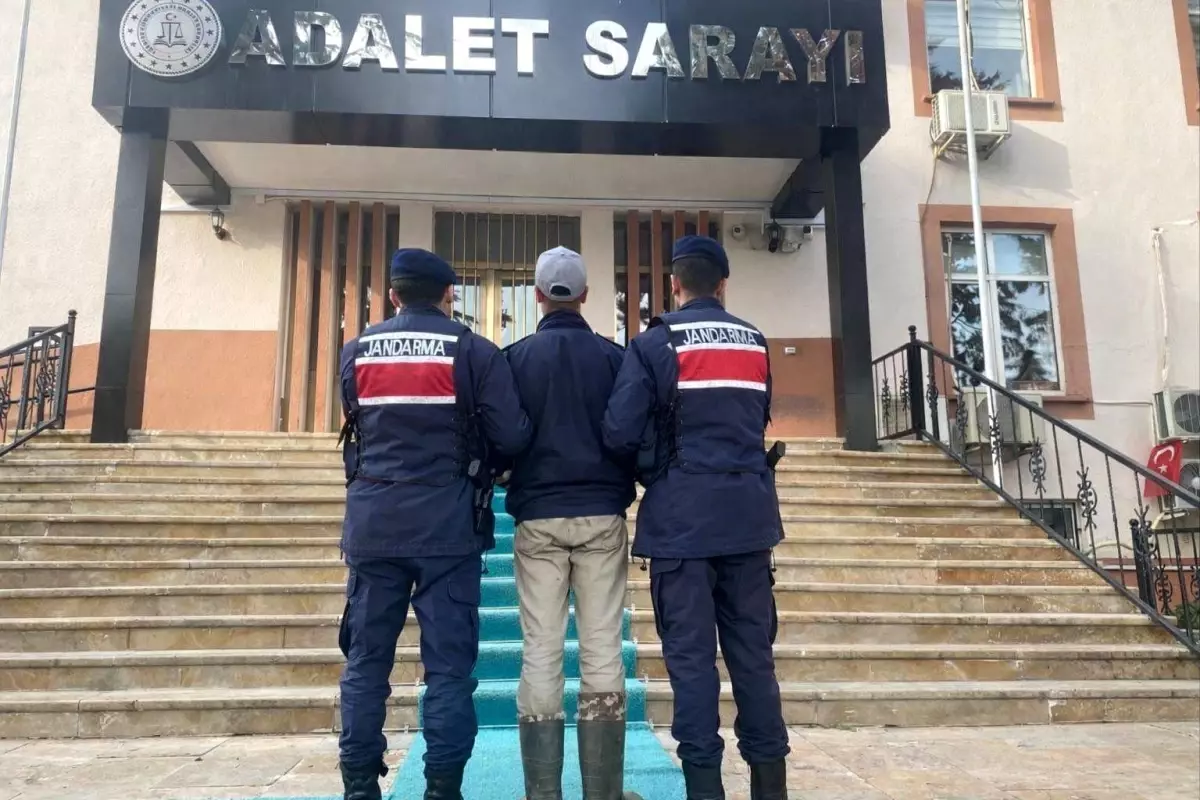 Köpekleri Vururken Sahibine Ateş Etti