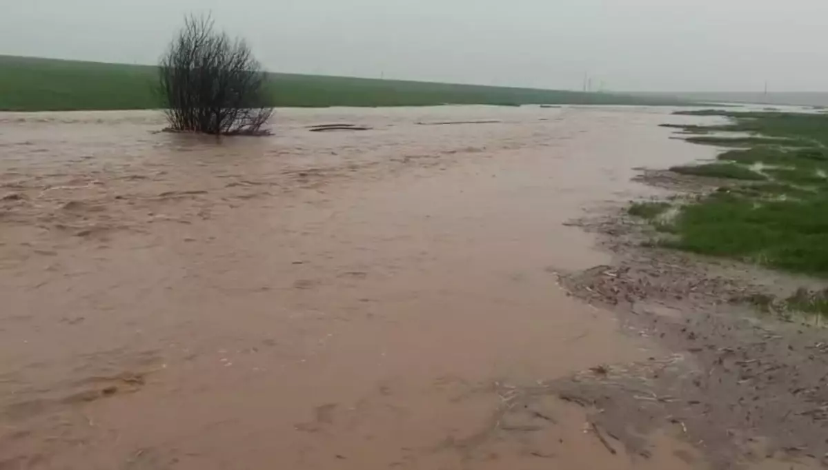 Mardin\'de sağanak yağış sonrası evleri su bastı, tarlalar zarar gördü