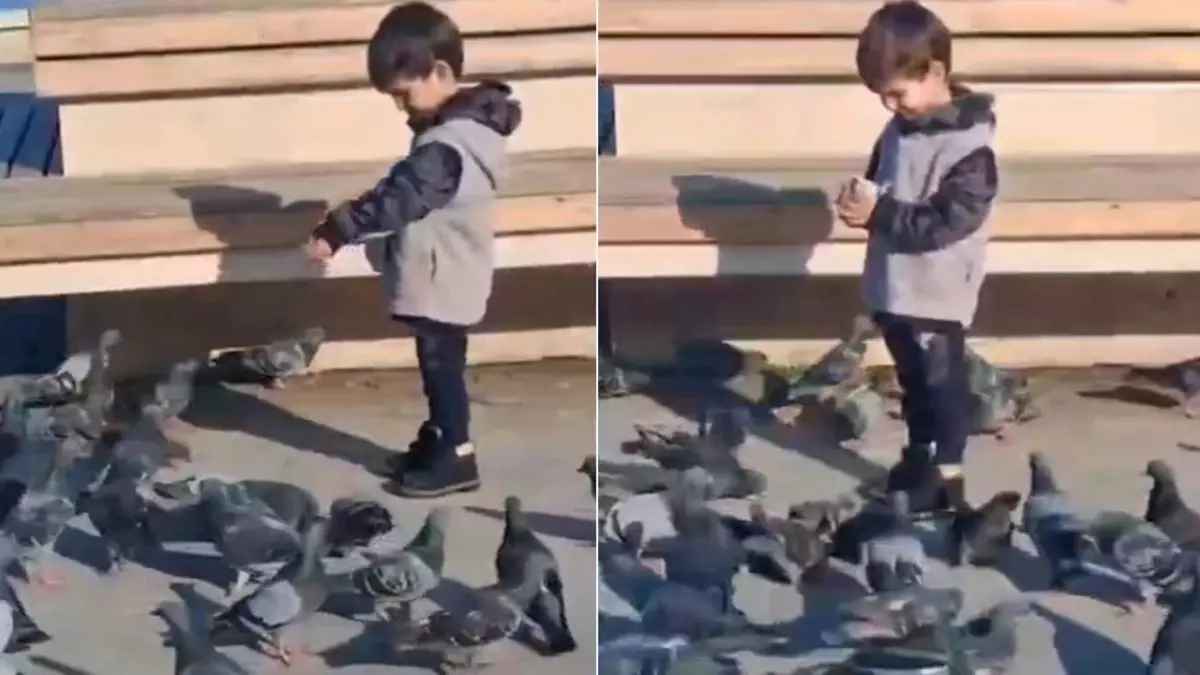 Çöp kamyonunun altında kalıp ölen Serhat\'ın son görüntüleri ortaya çıktı