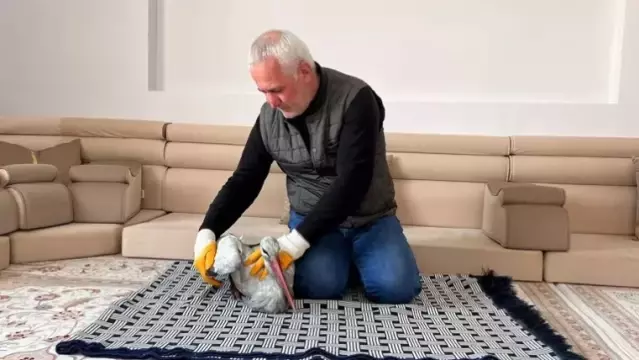 Leyleği Donmaktan Kurtardı