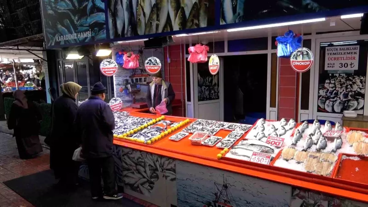 Bolu\'da Balık Fiyatları Düştü