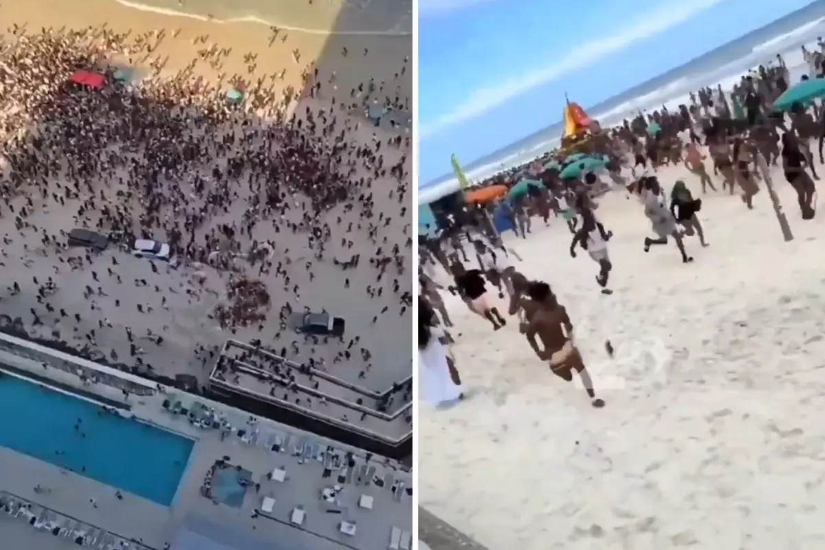 Silah seslerini duyunca denizden çıkıp panikle kaçtılar