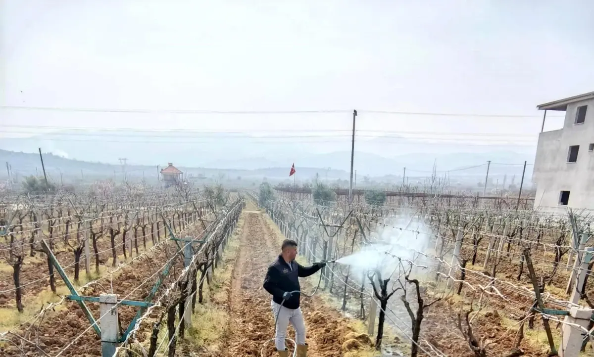 Sarıgöl\'de Üzüm Üreticilerine İlaçlama Programı