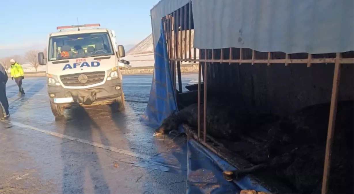 Bitlis\'te Buzlanma Kazası: 1 Yaralı, 10 Hayvan Ölü