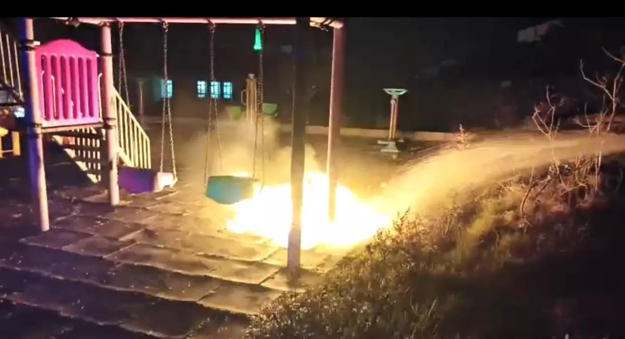 Çocukların yaktığı ateş parkı alev topuna çevirdi