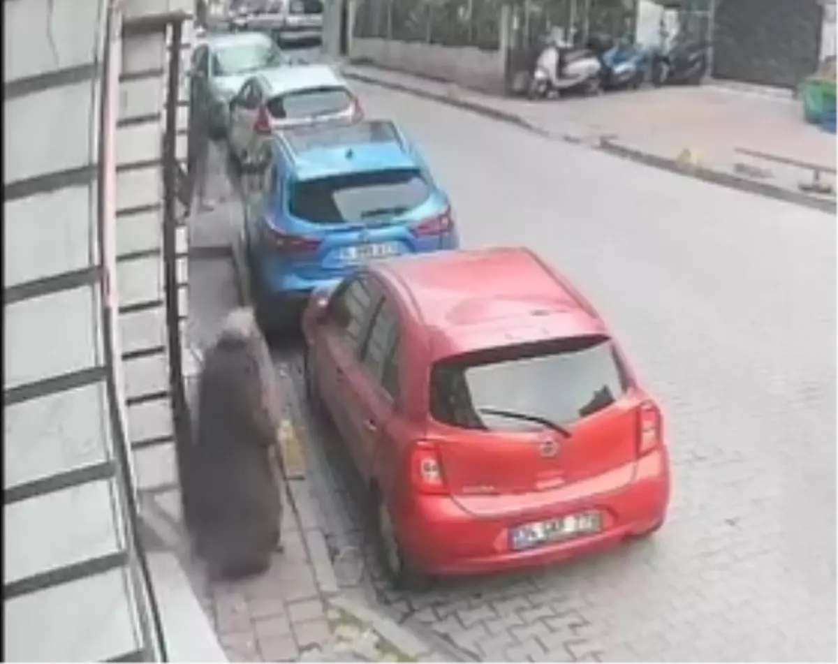 Fatih\'te Kapkaç Olayı