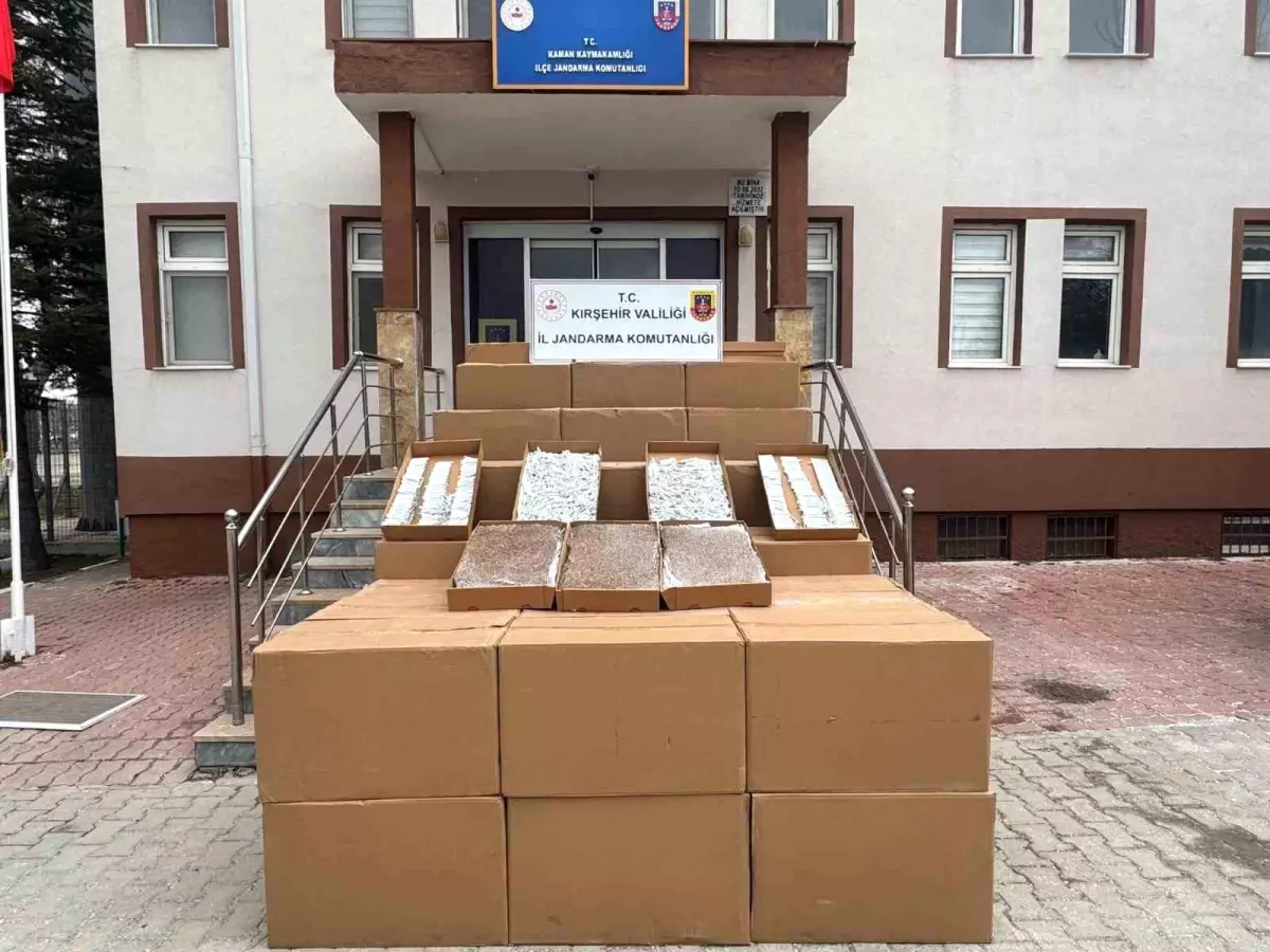 Kırşehir\'de 4 Milyon TL\'lik Kaçak Makaron Ele Geçirildi