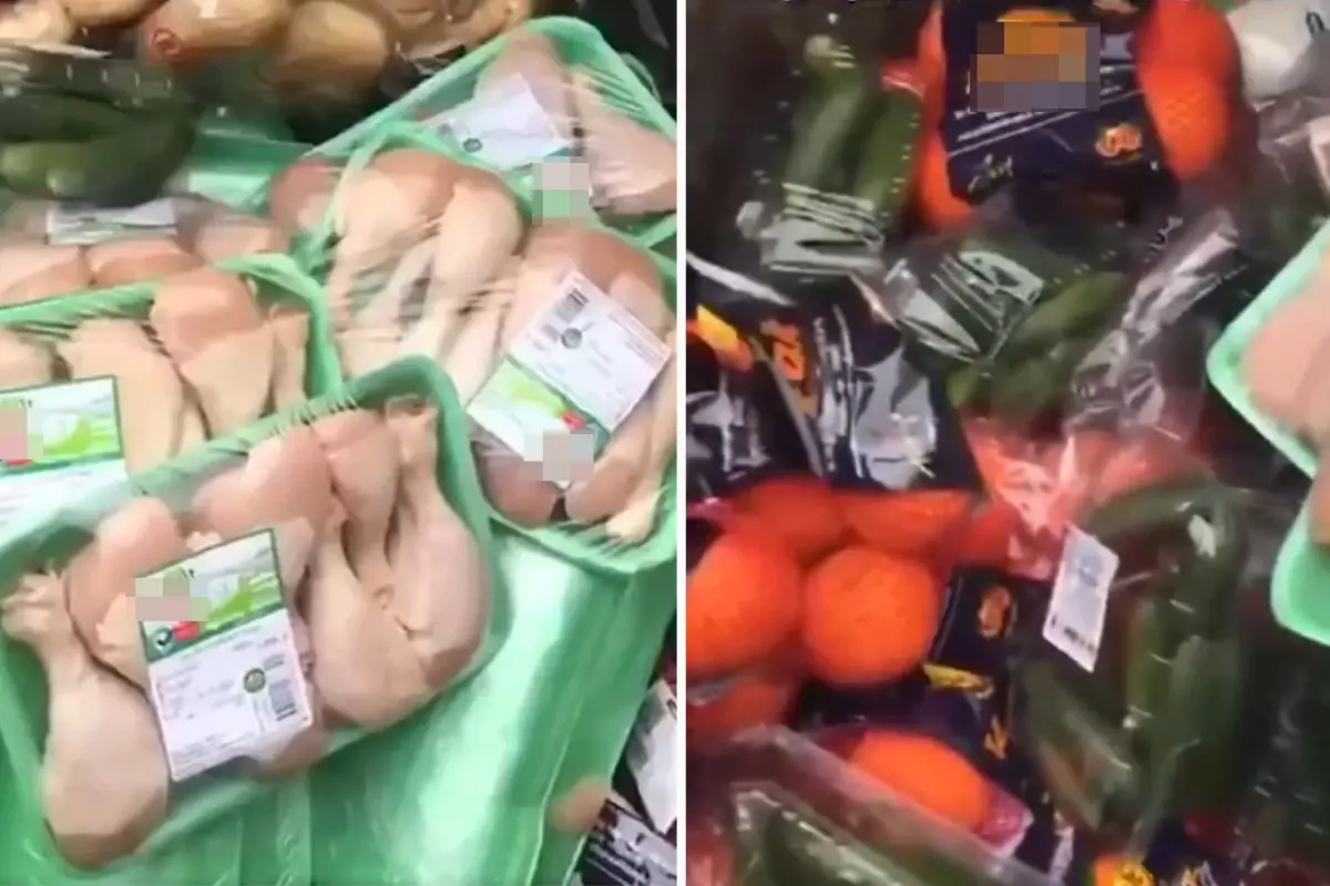 Paket paket tavuklar çöpe gitti