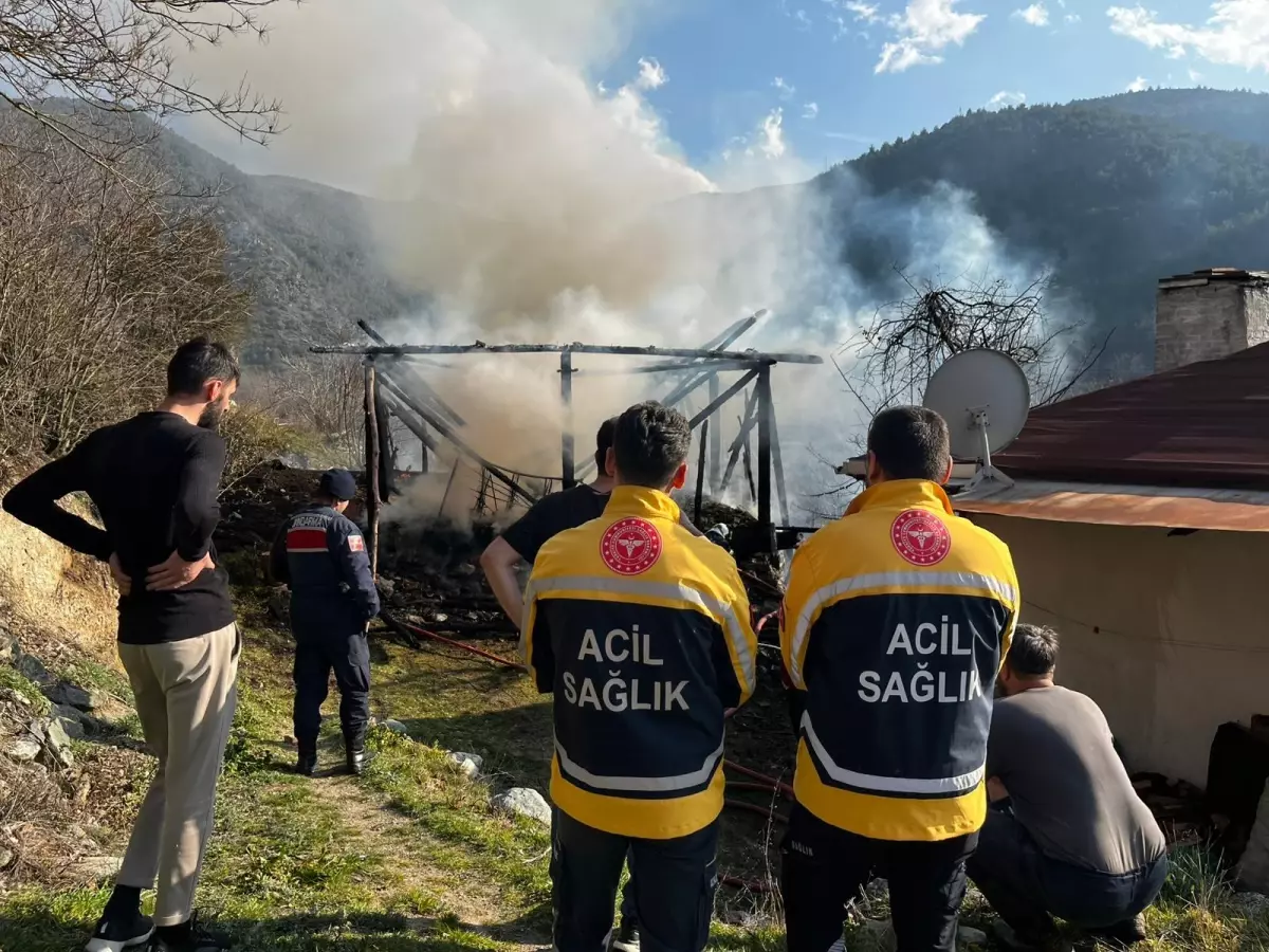 Tosya\'da Samanlık Yangını