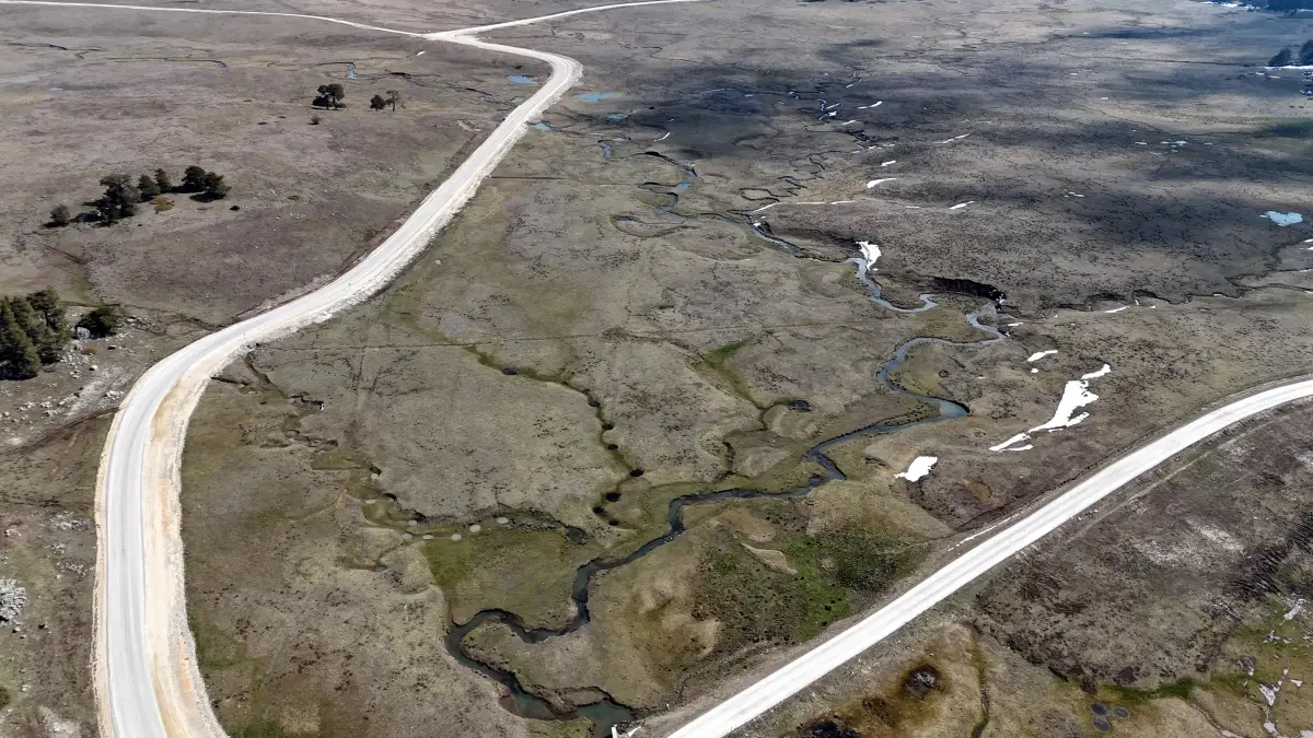 Bolu\'da Çiğdem Çiçekleri Açtı