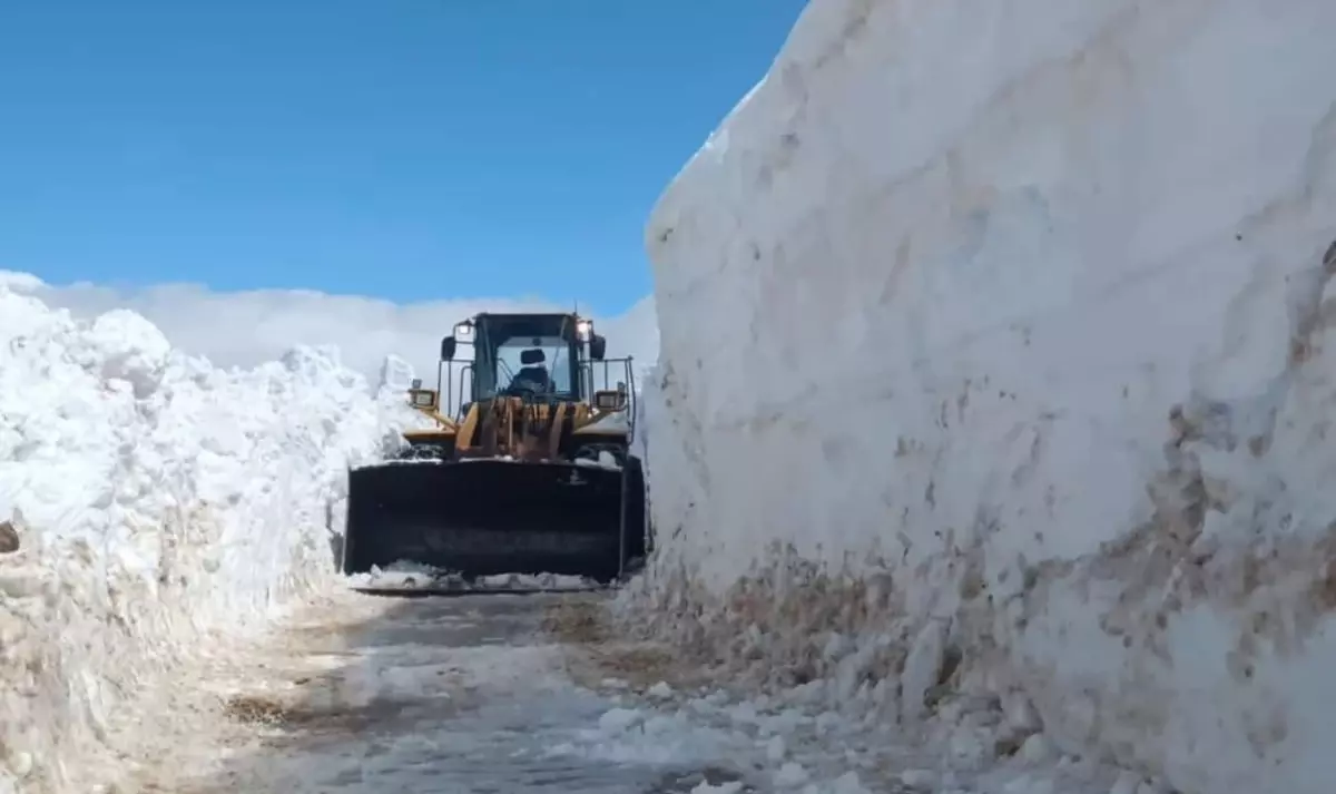 Bitlis\'teki Çığ ve Heyelanlar Kapanan Yolları Açtı