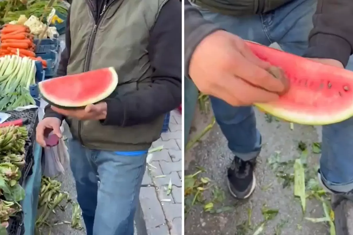 Karpuzu daha kırmızı göstermek için yaptığı rezilliğe bakın
