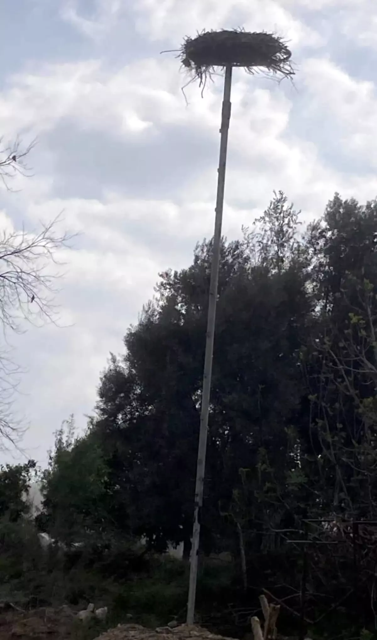 Leylek Yuvası İçin Çağrı