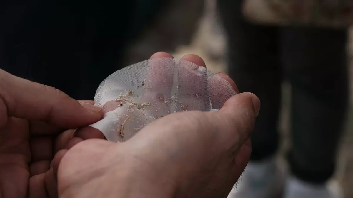 Datça\'da Mikroplastik Kirliliği Tespit Edildi