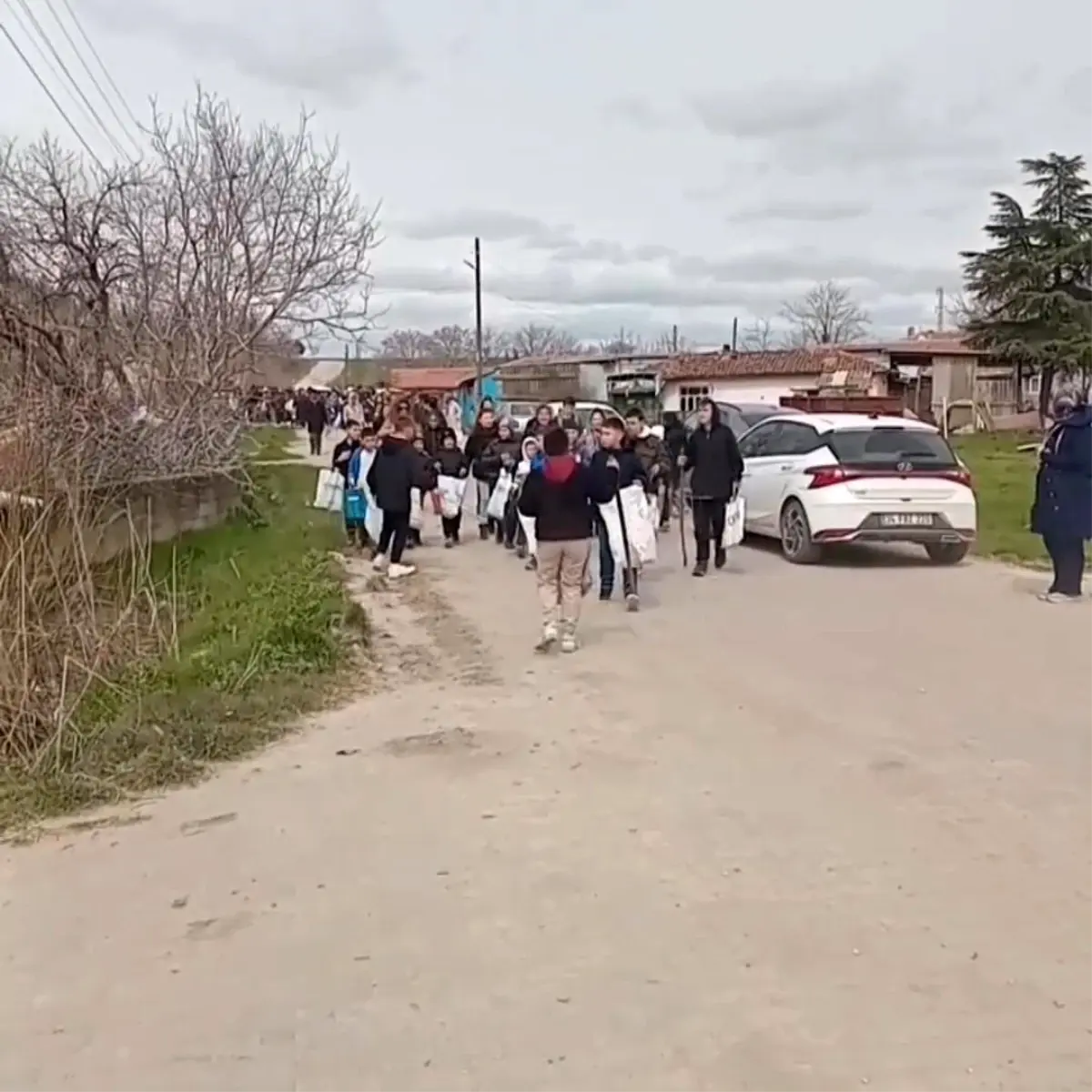 Geçkinli Köyü\'nde Şeker Toplama Geleneği