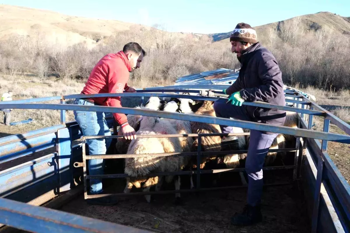 Besiciler Baharla Dağlara Çıktı