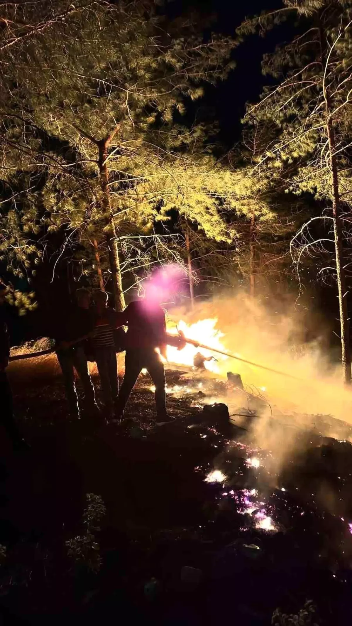 Hatay\'da korkutan orman yangını