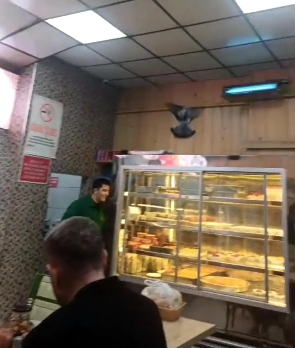 Eskişehir\'de Lokantaya Giren Güvercin Kaos Yarattı