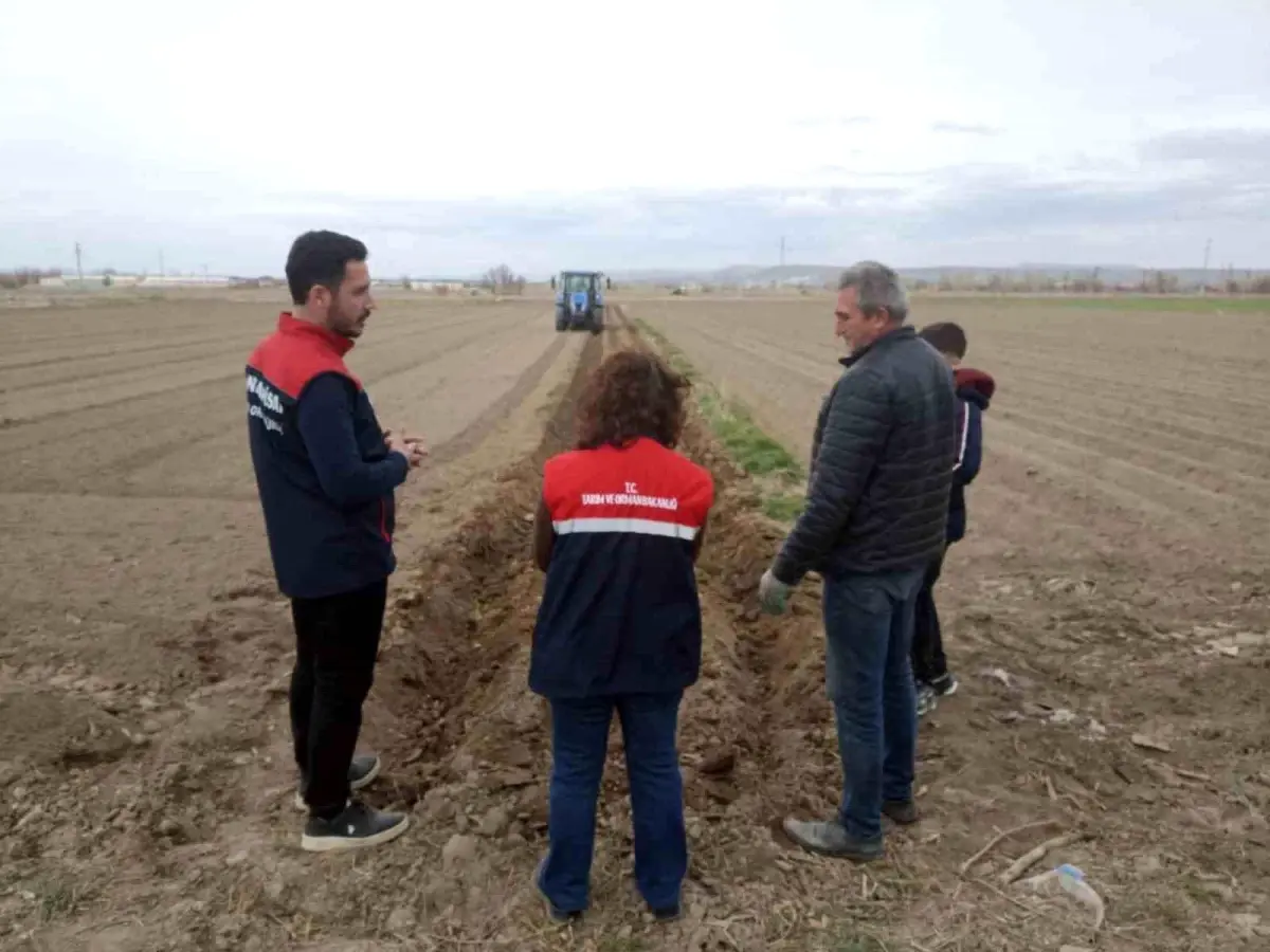 Afyonkarahisar\'da Patates Ekim Sezonu Başladı
