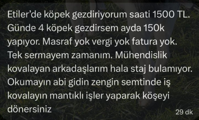 Zengin semtinde yaptığı işten 150 bin lira kazanıyor: Okumayın, iş kovalayın