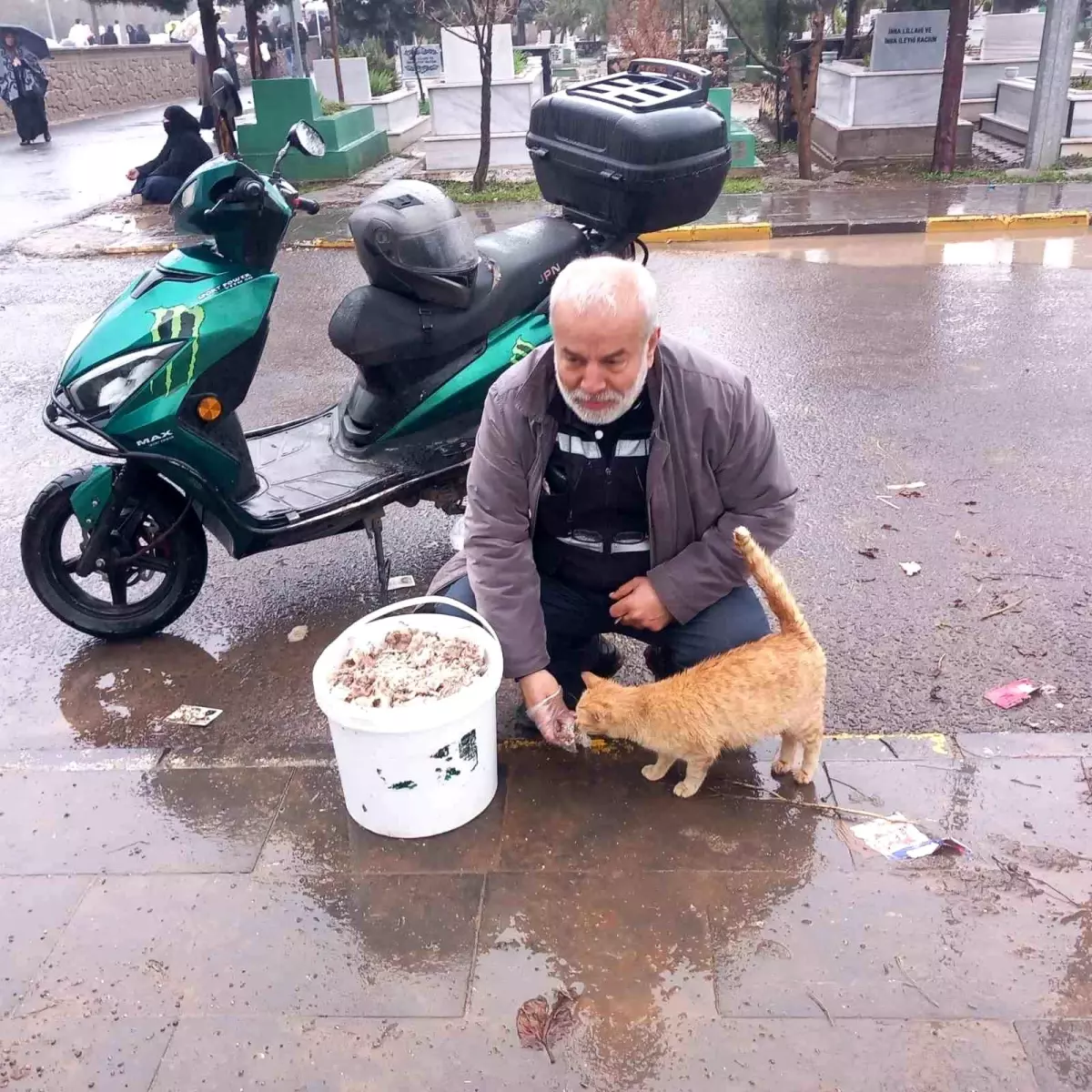 Acu, Bayramda Sokak Hayvanlarını Besledi