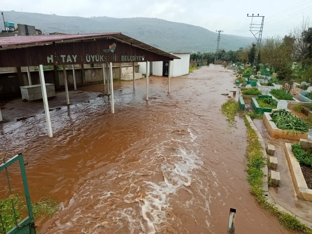 Hatay\'da çoban kuzuları sele kapılmaktan son anda kurtardı