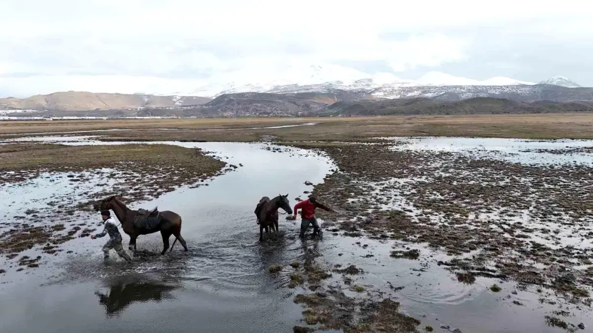 Kayseri\'de At Safari Kazası