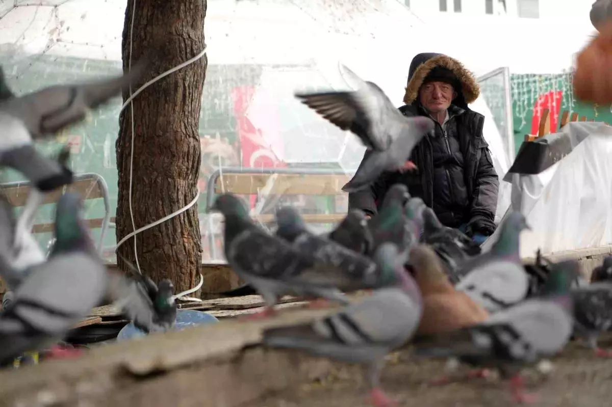 Kemal Amca\'nın Kuş Sevgisi