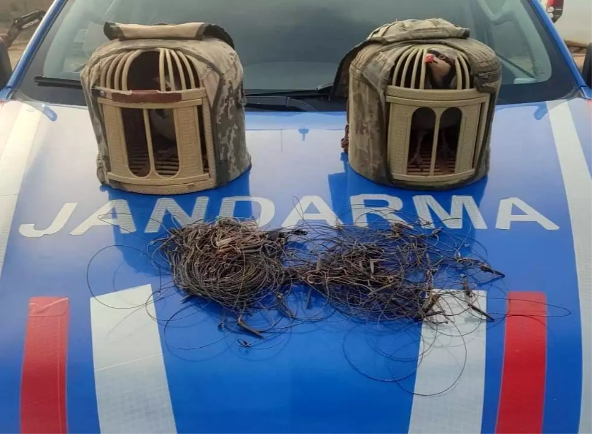 Kırşehir\'de Kaçak Keklik Avına 2 Tutuklama