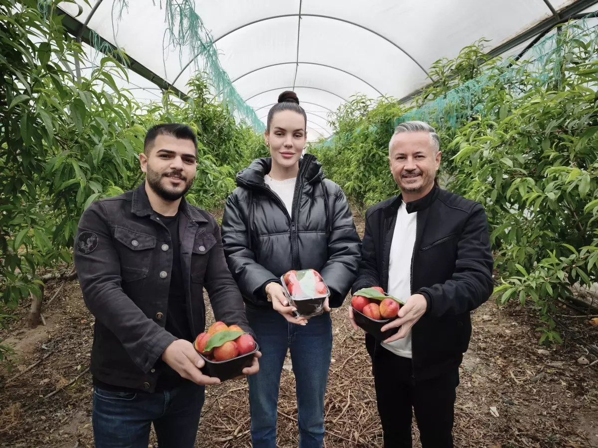 Mersin\'de Nektarin Hasadı Başladı