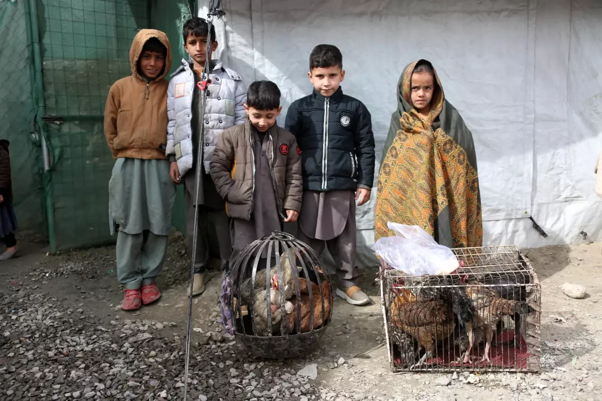 3 Milyon Afgan Mülteci Ülkesine Döndü