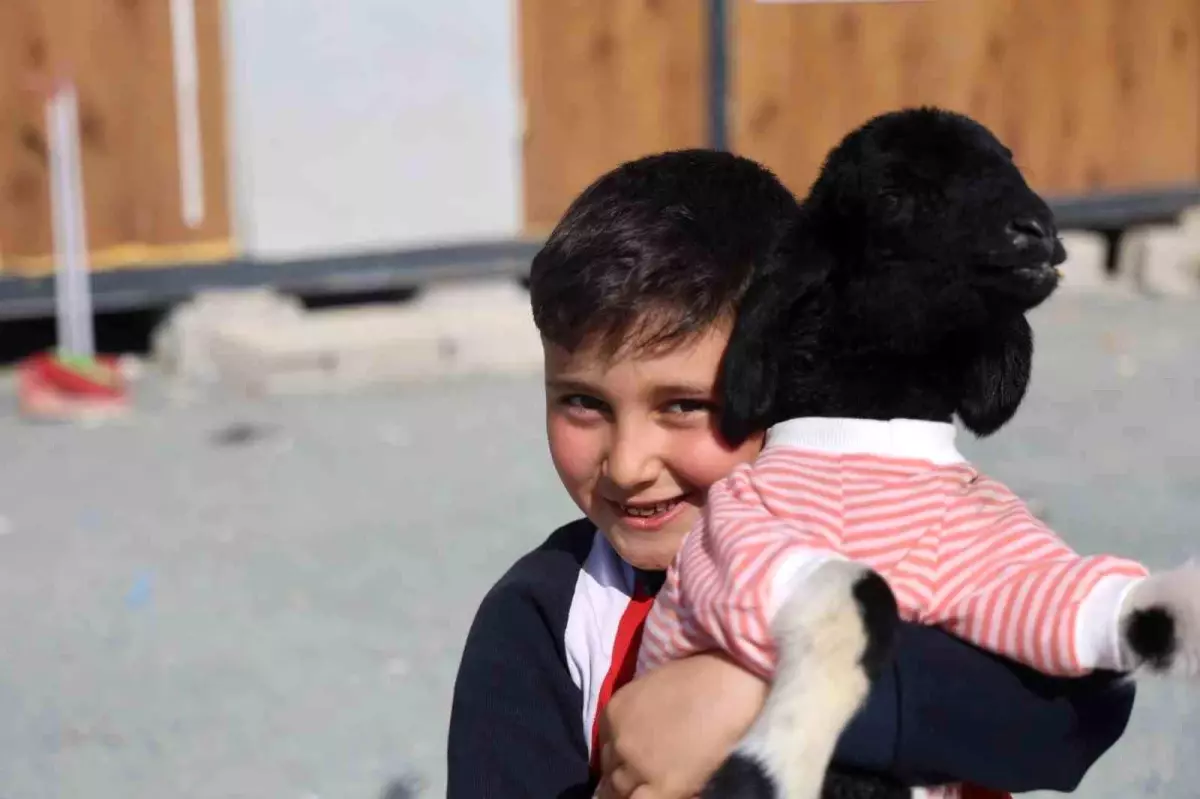 Hatay\'da \'Boncuk\' İsimli Kuzu, Çocukların Arkadaşı Oldu