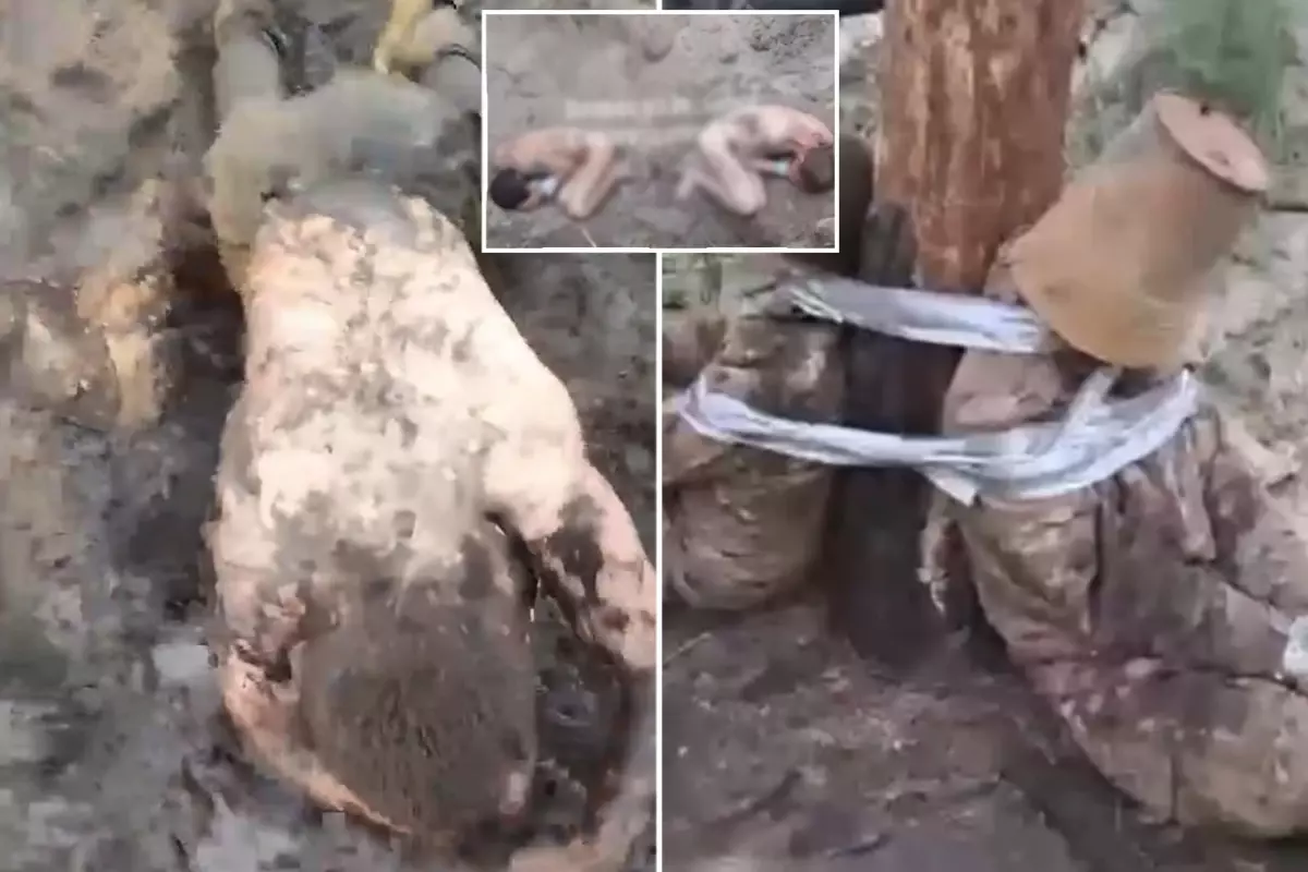 Putin\'in komutanları neler yapmış neler! Rus ordusunda skandal görüntüler