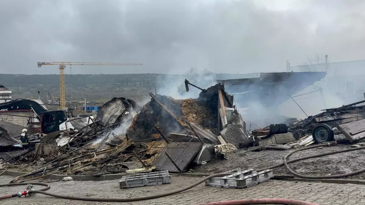 Dilovası\'ndaki Ahır Yangını: 460 Hayvan Telef Oldu