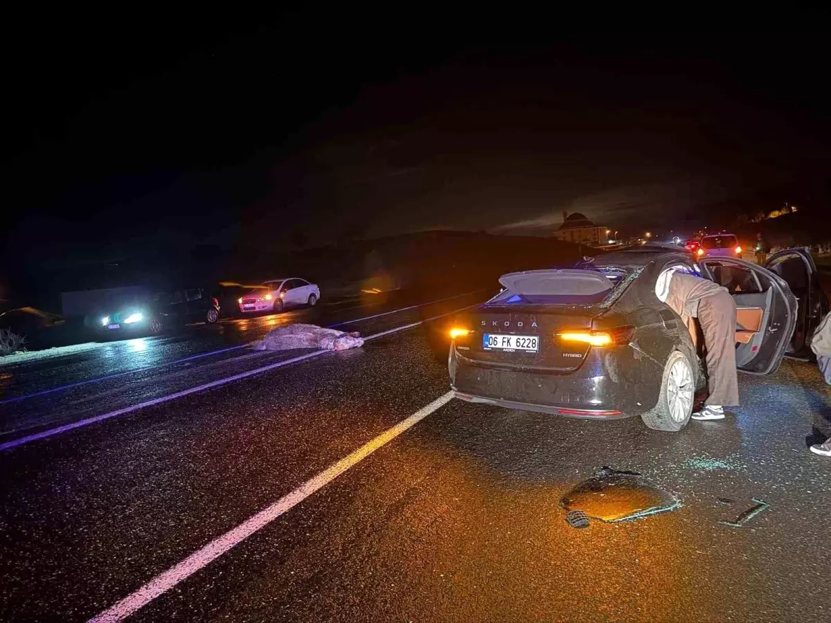 Bingöl\'de At kazası: 4 Yaralı