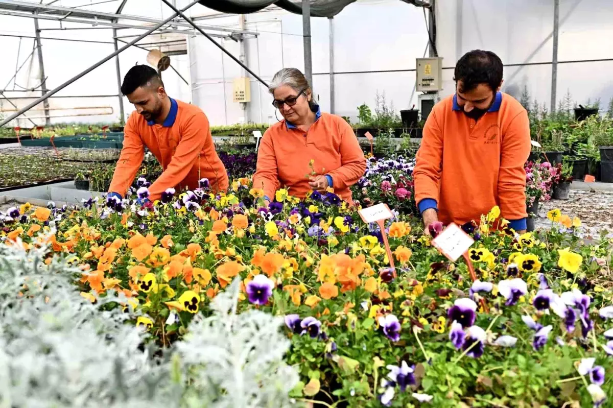 Muratpaşa\'dan örnek bitki üretim modeli